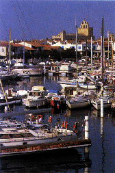 camargue