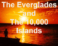 everglades